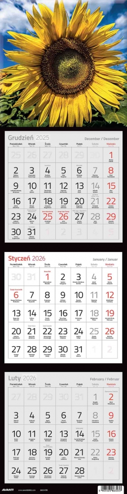 Kalendarz 2026 trójdzielny kwadratowy, 1 szt