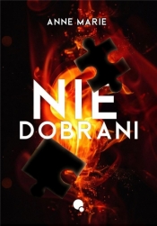 Niedobrani - Anne Marie