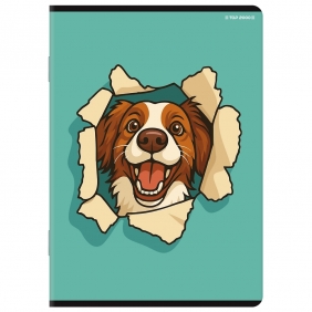 Zeszyt Top 2000 Basic A5/16k kratka, 1 szt