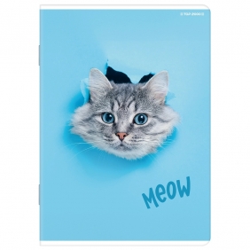 Zeszyt Top 2000 Basic A5/16k kratka, 1 szt