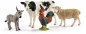 Schleich Farm World, Życie na farmie, zestaw startowy (42385)