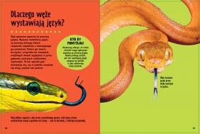 Britannica. Wielka księga pytań dlaczego? - Sally Symes