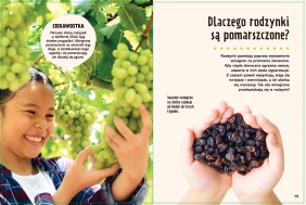 Britannica. Wielka księga pytań dlaczego? - Sally Symes