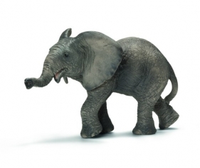 Słoń afrykański cielę (14658)