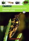Atlas owadów uszkadzających drzewa leśne t1 Andrzej Kolk, Jerzy Starzyk