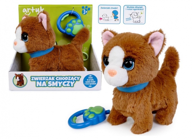 Kot chodzący na smyczy brązowy