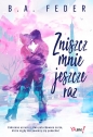 Zniszcz mnie jeszcze raz - B. A. Feder