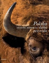 Polska dzika przyroda