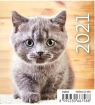 Kalendarz 2021 biurkowy mini Kotki HELMA