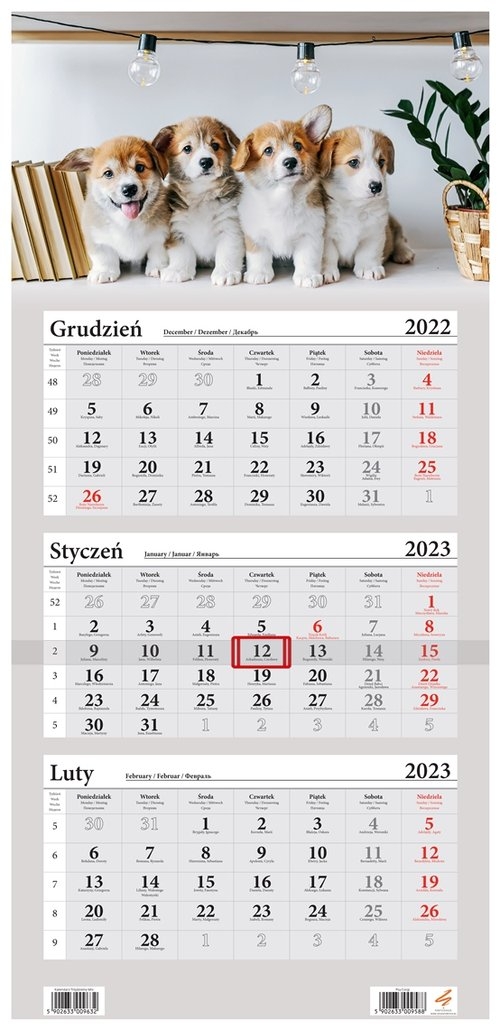 Kalendarz 2023 Trójdzielny Psy Corgi