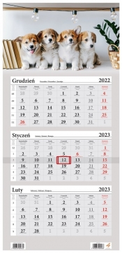 Kalendarz 2023 Trójdzielny Psy Corgi