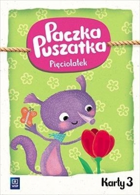 Paczka Puszatka. Karty pracy. Pięciolatek. Część 3. Wychowanie przedszkolne - Borchard Anna, Marcinkiewicz Joanna 