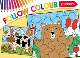 Follow Colour 9 - Opracowanie zbiorowe