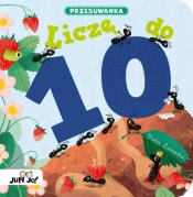 Liczę do 10. Przesuwanka - Beata Żurawska