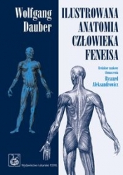 Ilustrowana anatomia człowieka Feneisa - Dauber Wolfgang