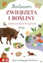 Zeszyt Montessori. Zwierzęta i rośliny - Zuzanna Osuchowska