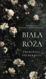 Biała róża Francesca Vulneratus