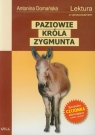 Paziowie króla Zygmunta Lektura z opracowaniem  Antonina Domańska