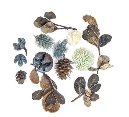 <img src='https://webimage.pl/pics/590/2/d5907589942590.jpg'>