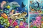 Ravensburger, Puzzle 3x49: Zachwycający podwodny świat (12000859)