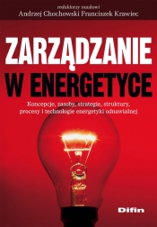 Zarządzanie w energetyce - <br />