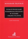 Wykonywanie kary pozbawienia wolności w systemie terapeutycznym