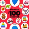 Pierwsze 100 zabawek (Uszkodzona okładka)