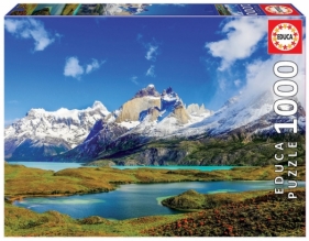 Puzzle 1000 elementów Torres del Paine /Chile (111325)