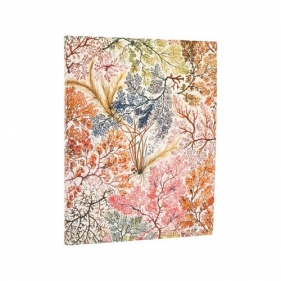 Kalendarz Paperblanks 2026 Anemone BUS Ultra miękka okładka