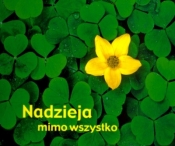Nadzieja mimo wszystko. Perełka 114