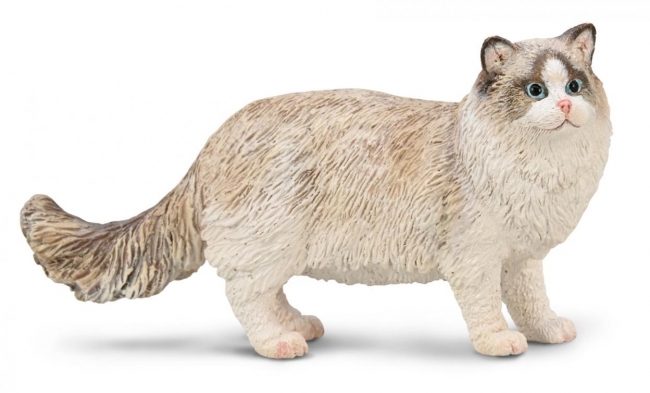 <img src='https://webimage.pl/pics/592/0/d4892900800592.jpg' style='height:440px' /> Ragdoll