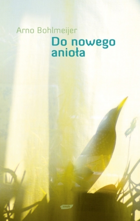 Do nowego anioła - Bohlmeijer Arno