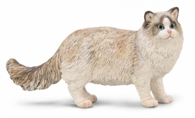 Ragdoll