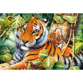 Puzzle 1500: Dwa tygrysy (26159)