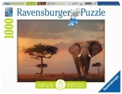 Puzzle 1000: Słoń w parku narodowym Masai Mara (151592)