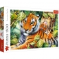 Puzzle 1500: Dwa tygrysy (26159)