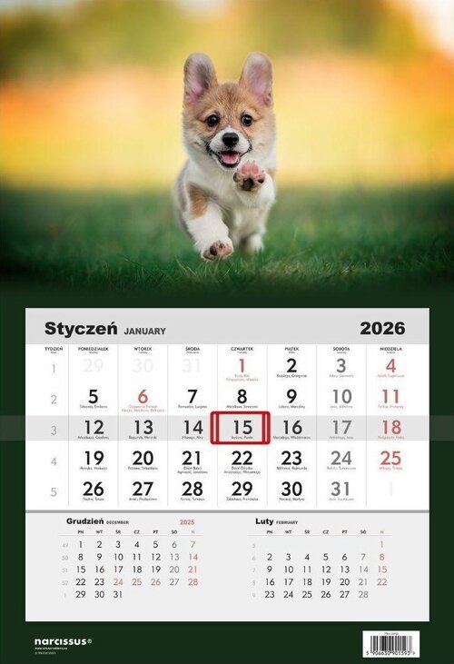 Kalendarz 2026 Jednodzielny Pies corgi
