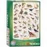  Puzzle 1000 Birds 6000-125910+