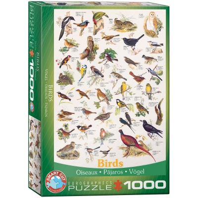 <img src='https://webimage.pl/pics/593/2/d628136612593.jpg' style='height:440px' /> Puzzle 1000 Birds 6000-1259