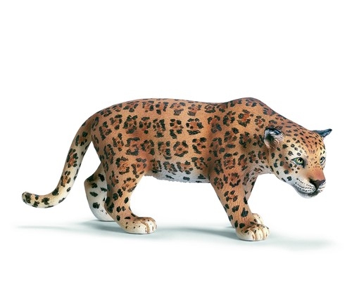 Jaguar (14359)