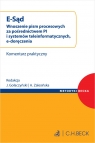 E-Sąd. Wnoszenie pism procesowych za pośrednictwem PI i systemów