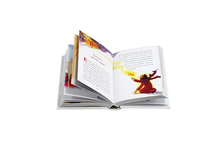<img src='https://webimage.pl/pics/593/6/d9788379716593.png'>