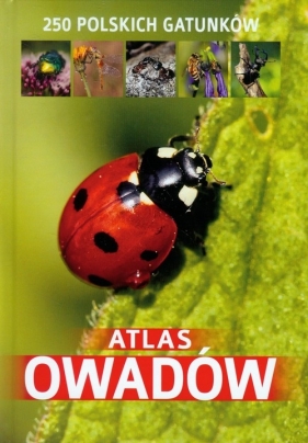 Atlas owadów - Twardowski Jacek, Twardowska Kamila