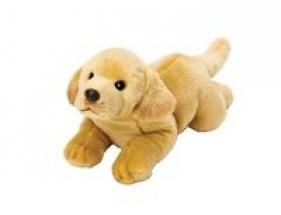 Suki, Labrador Żółty leżący 35 cm (12059)