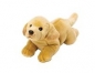 Suki, Labrador Żółty leżący 35 cm (12059)