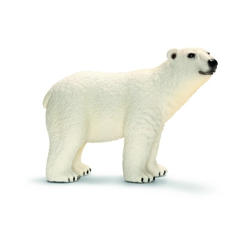 Niedźwiedź Polarny - 14659