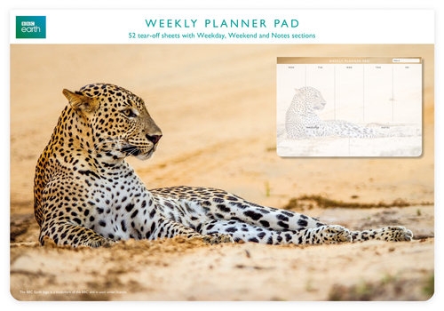 Planer tygodniowy Leopard in sand (WEK 602)