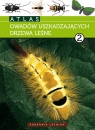 Atlas owadów uszkadzających drzewa leśne t.2 Kolk Andrzej, Starzyk Jerzy R.