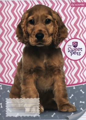 Zeszyt A5 Sweet Pets w trzy linie 16 kartek 10 sztuk