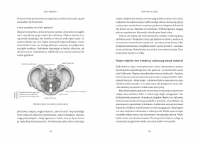 Dno miednicy. Kompletny przewodnik po centrum kobiecego ciała - Sara Reardon